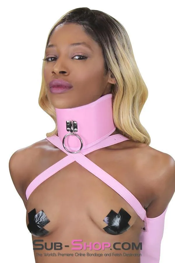 8976DL      Pink Pet Posture Collar with Leash Set