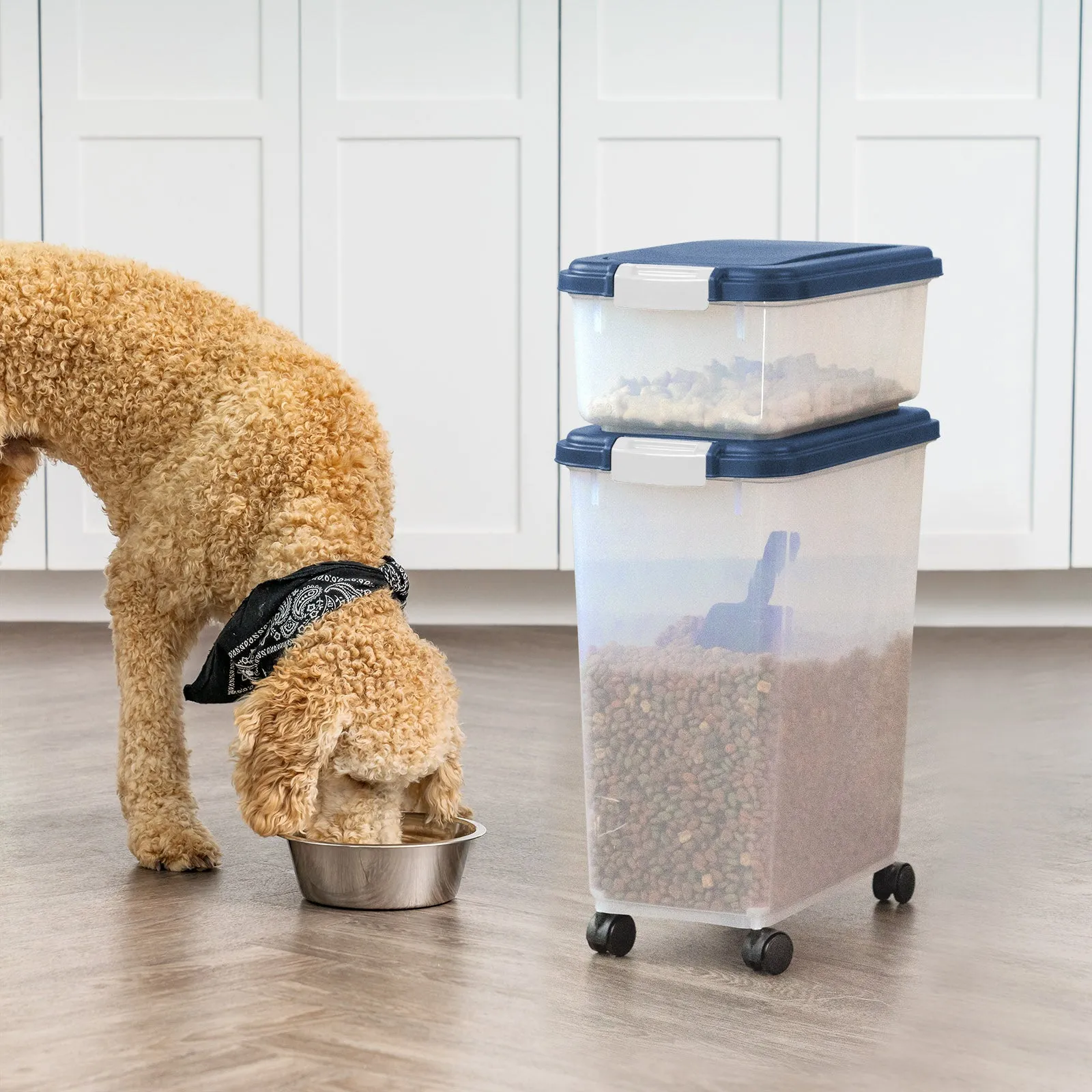 Airtight Pet Food Container, 60Qt Black Lid