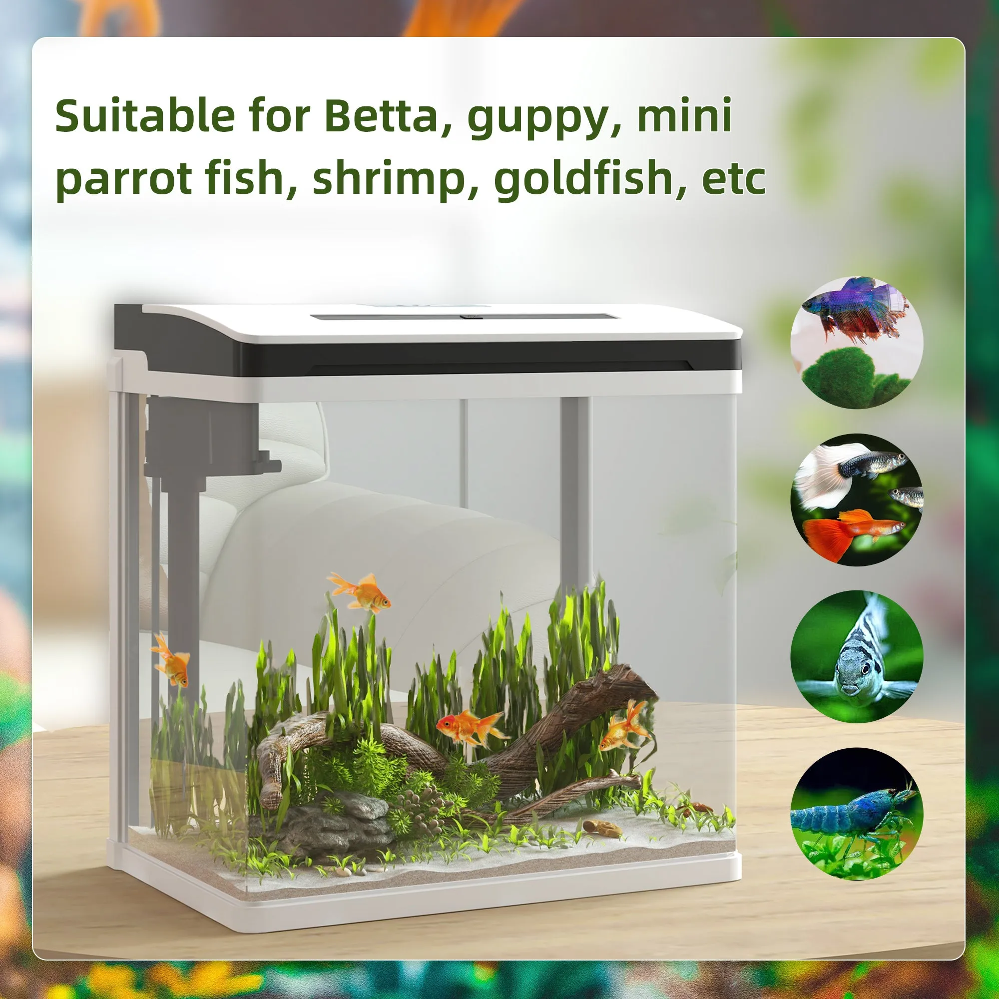 Aquarium 13L Glass Fish Tank w/ Filter, LED Lighting, Water Pump