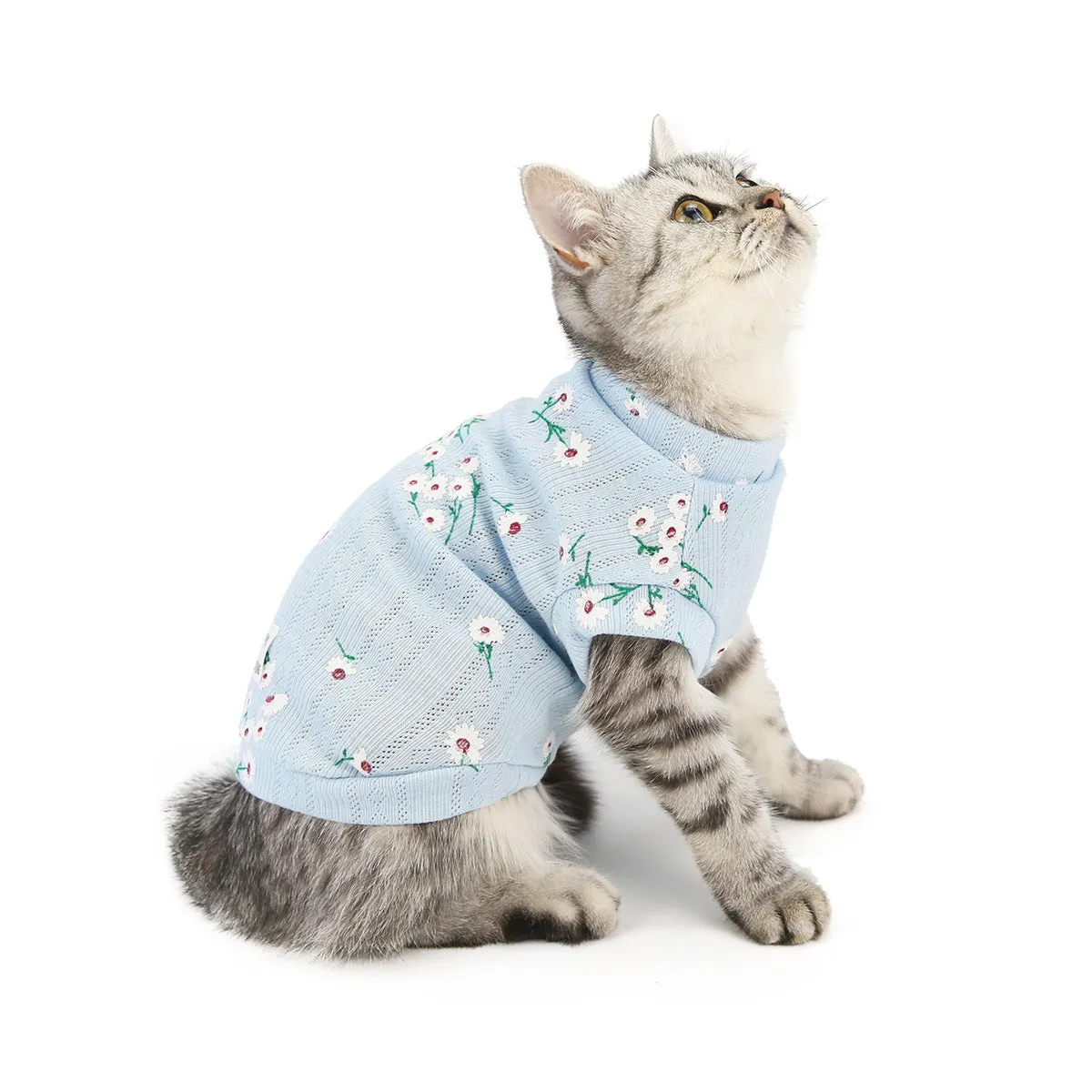 Autumn and winter cat clothes vest pet clothes