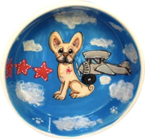 Aviation Ceramic Dog Bowl