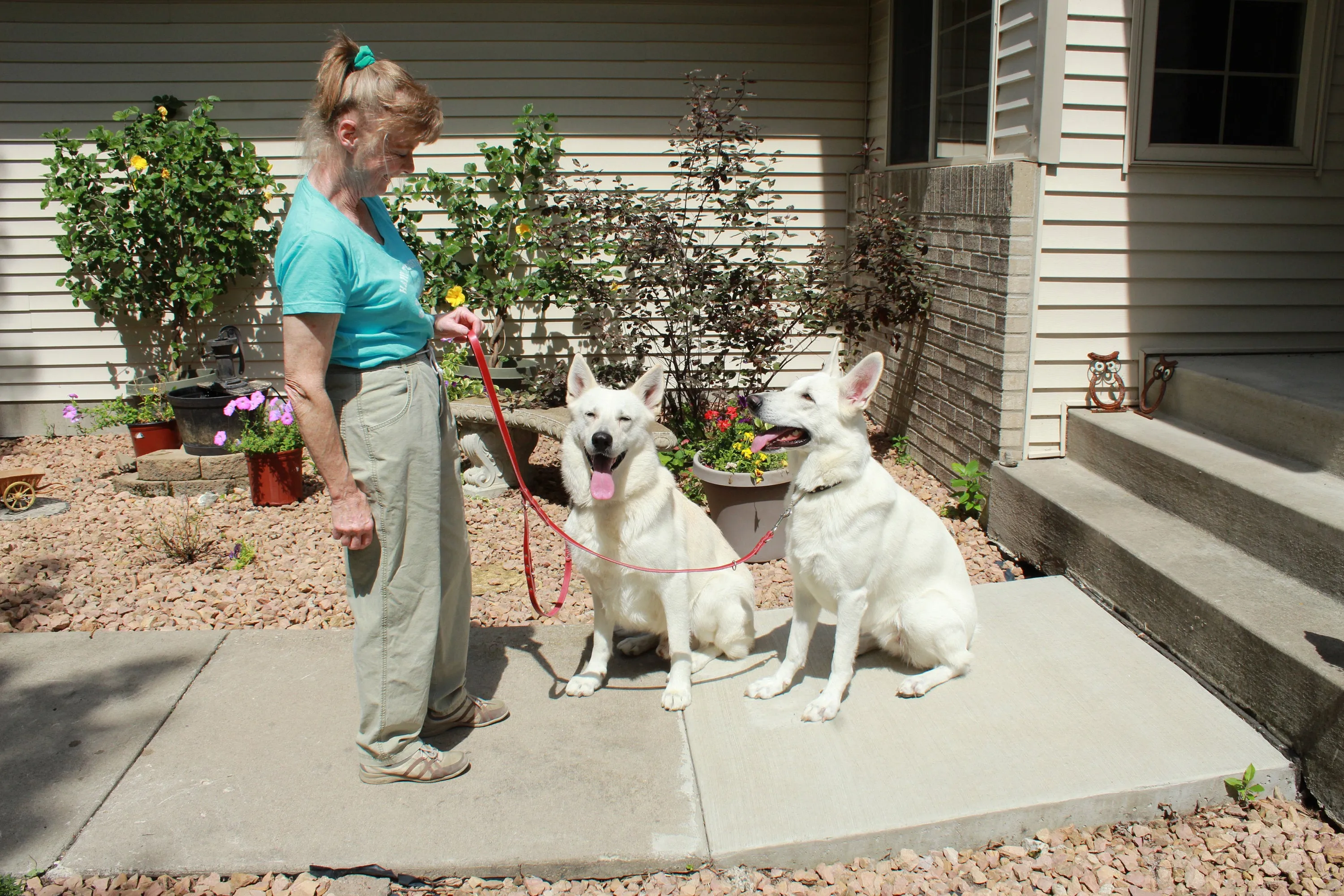 BioThane Multi-Purpose Leash