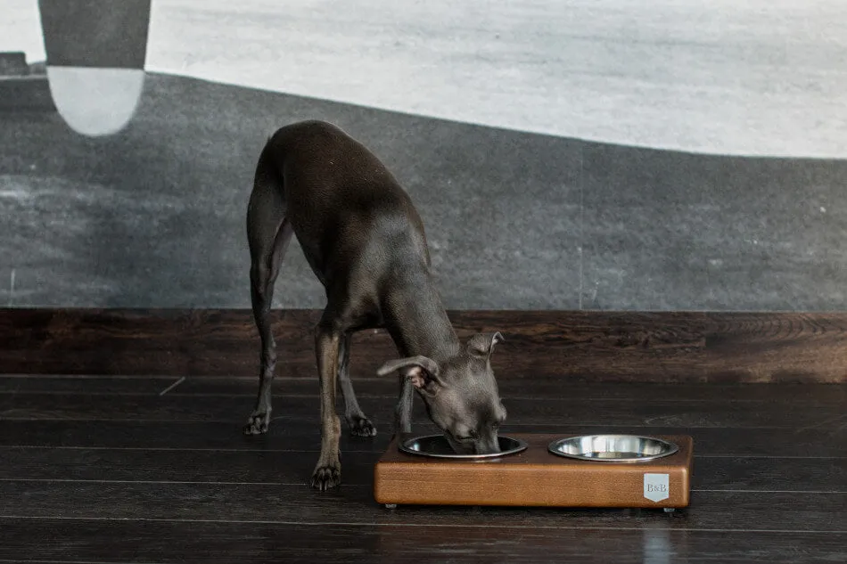 Bowl and Bone Amber Double Dog Feeder