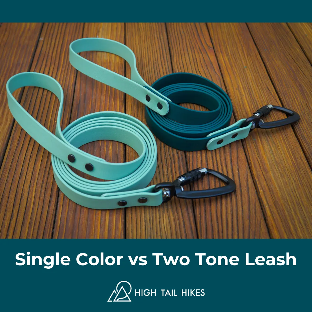 Custom Sport Leashes   Long Lines - Large Dogs (3/4" Width)