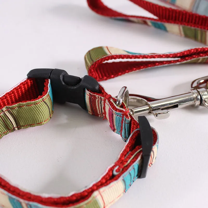 Dog Leash & Collar Otis