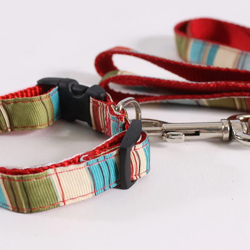 Dog Leash & Collar Otis