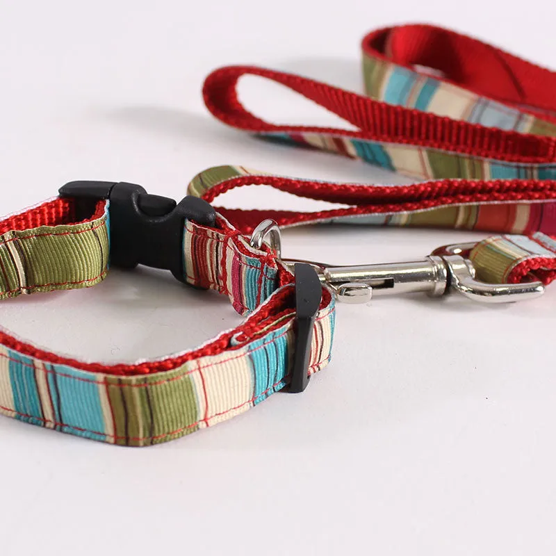 Dog Leash & Collar Otis