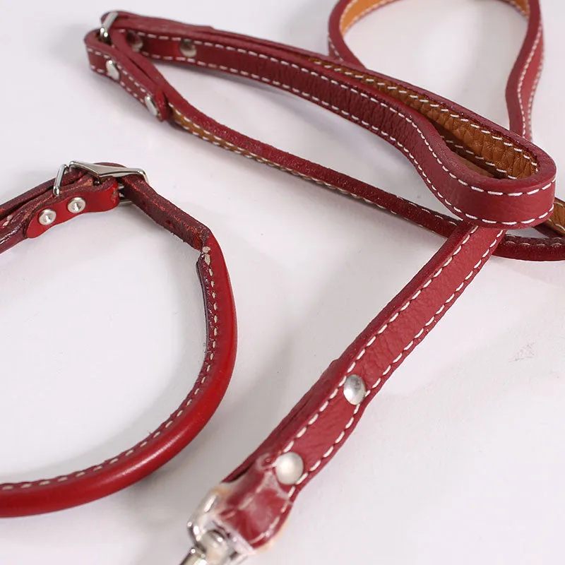 Dog Leash & Collar Roger