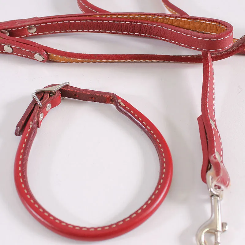 Dog Leash & Collar Roger