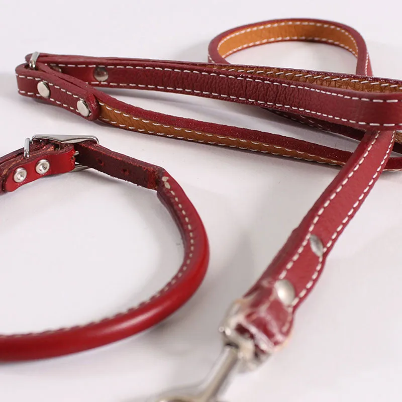 Dog Leash & Collar Roger