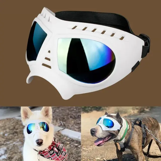 Dog Sunglass Goggles Protection