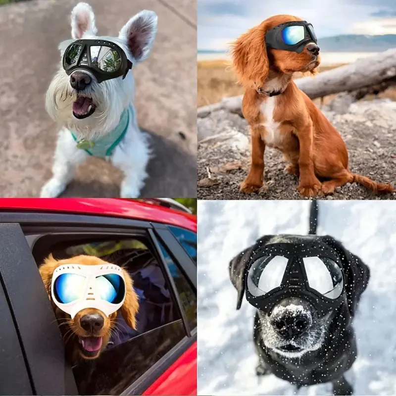 Dog Sunglass Goggles Protection