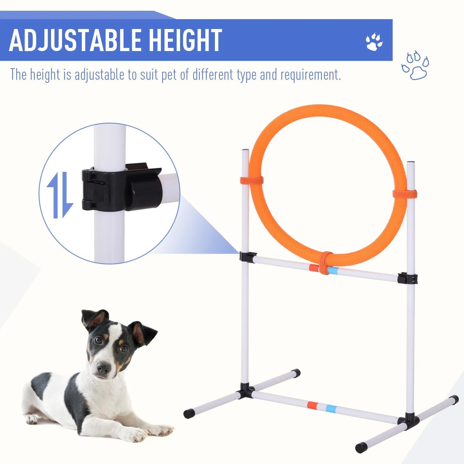 Dogs PE Set-of-5 Obstacle Agility Training Set White