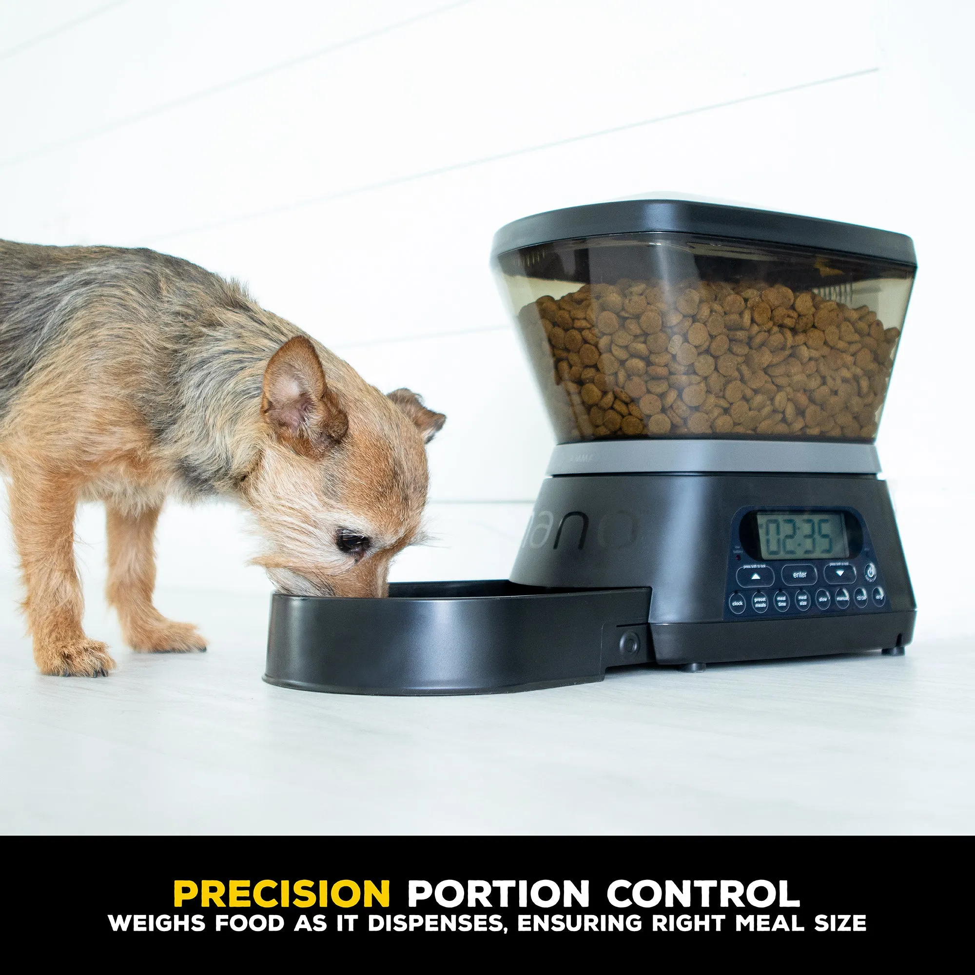 GAMMA2 NANO Automated Pet Feeder