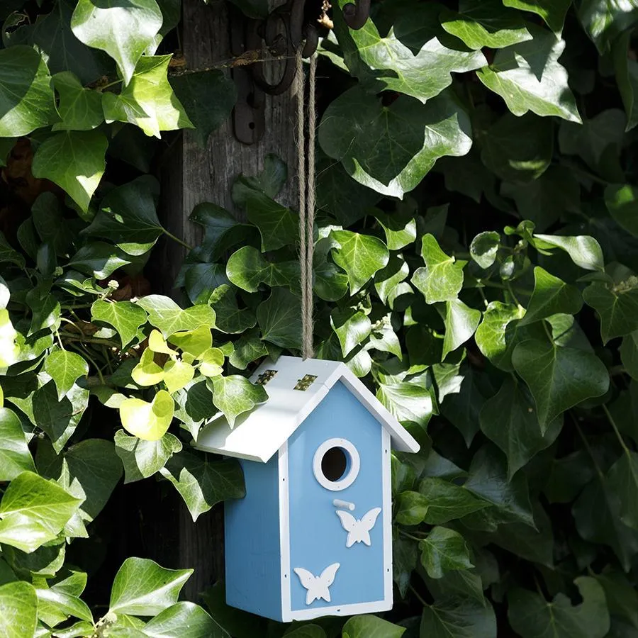 Kids Fun Bird Box Available in Blue and Pink