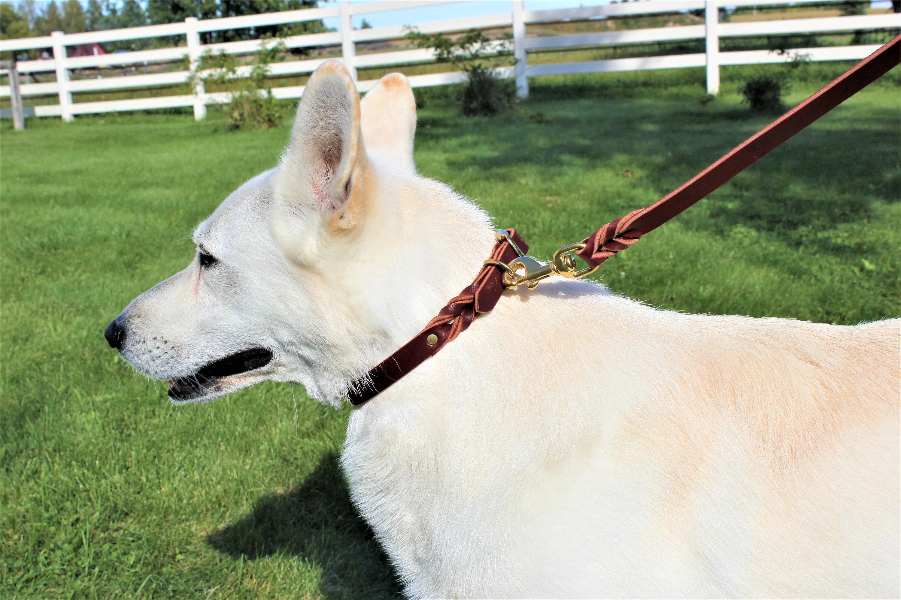 Latigo Leather Leashes 30"