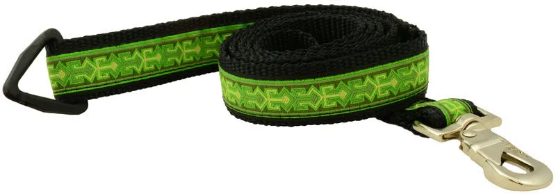 Leash - 4ft  Long - 1" Wide