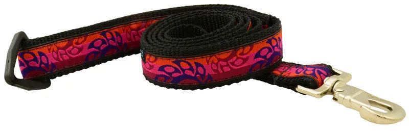 Leash - 4ft  Long - 1" Wide