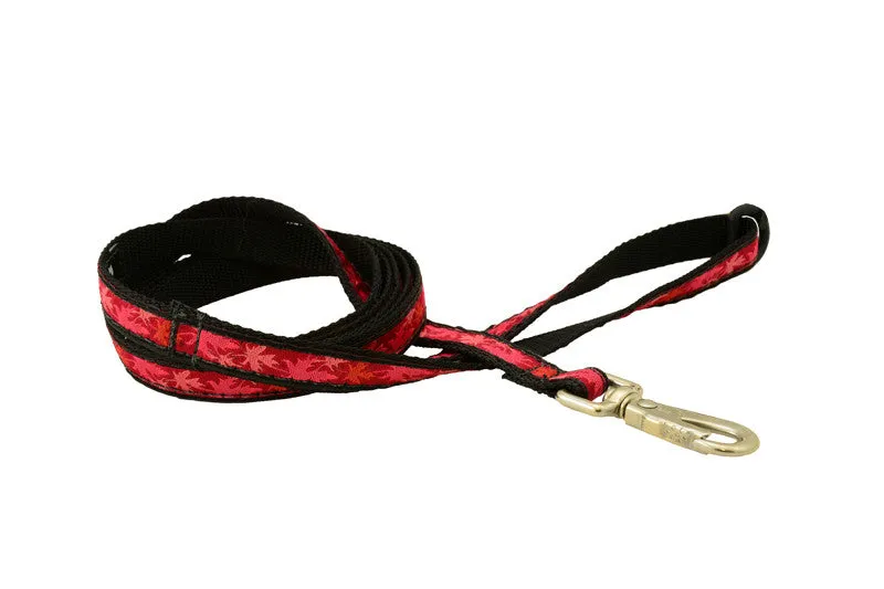 Leash - 5ft  Long - 1/2" Wide