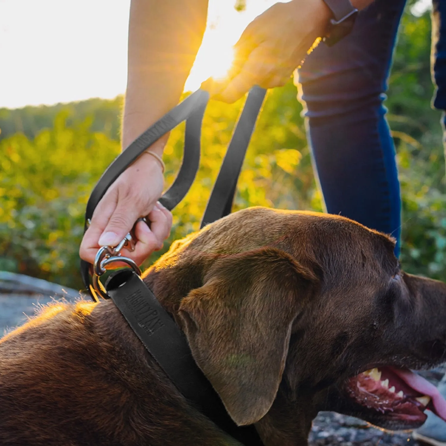 Leather Leash by Mighty Paw