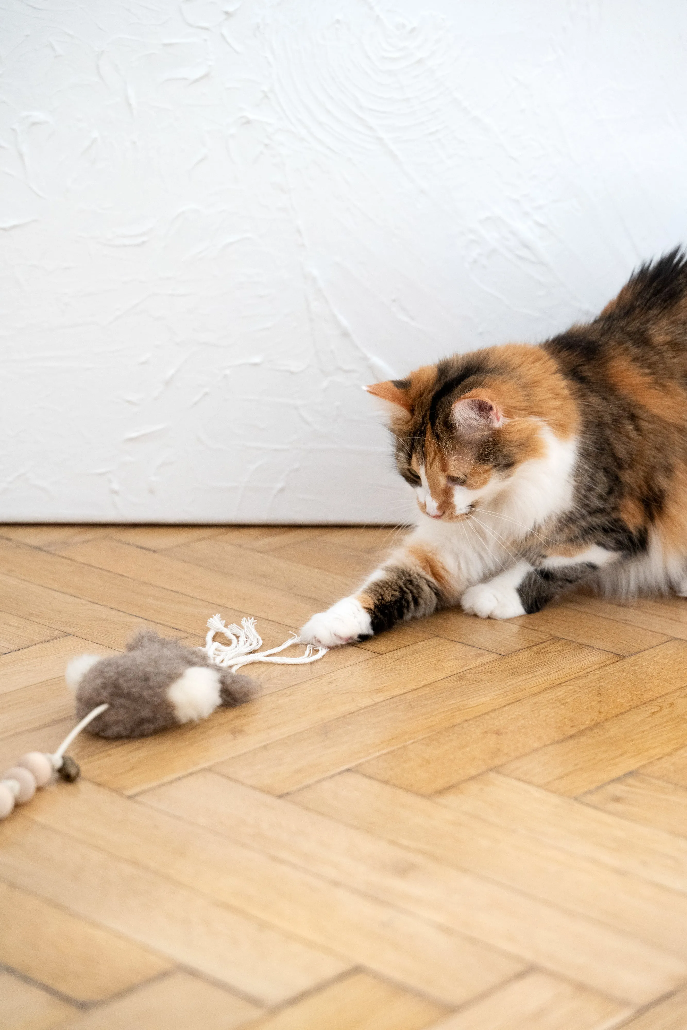 Natural Sheepskin Cat Toy: Squid