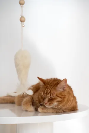 Natural Woolen Cat Toy: Fish