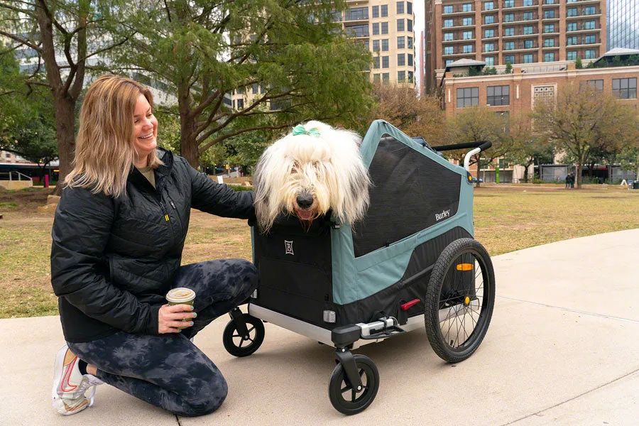 NEW Burley Bark Ranger XL Pet Bike Trailer