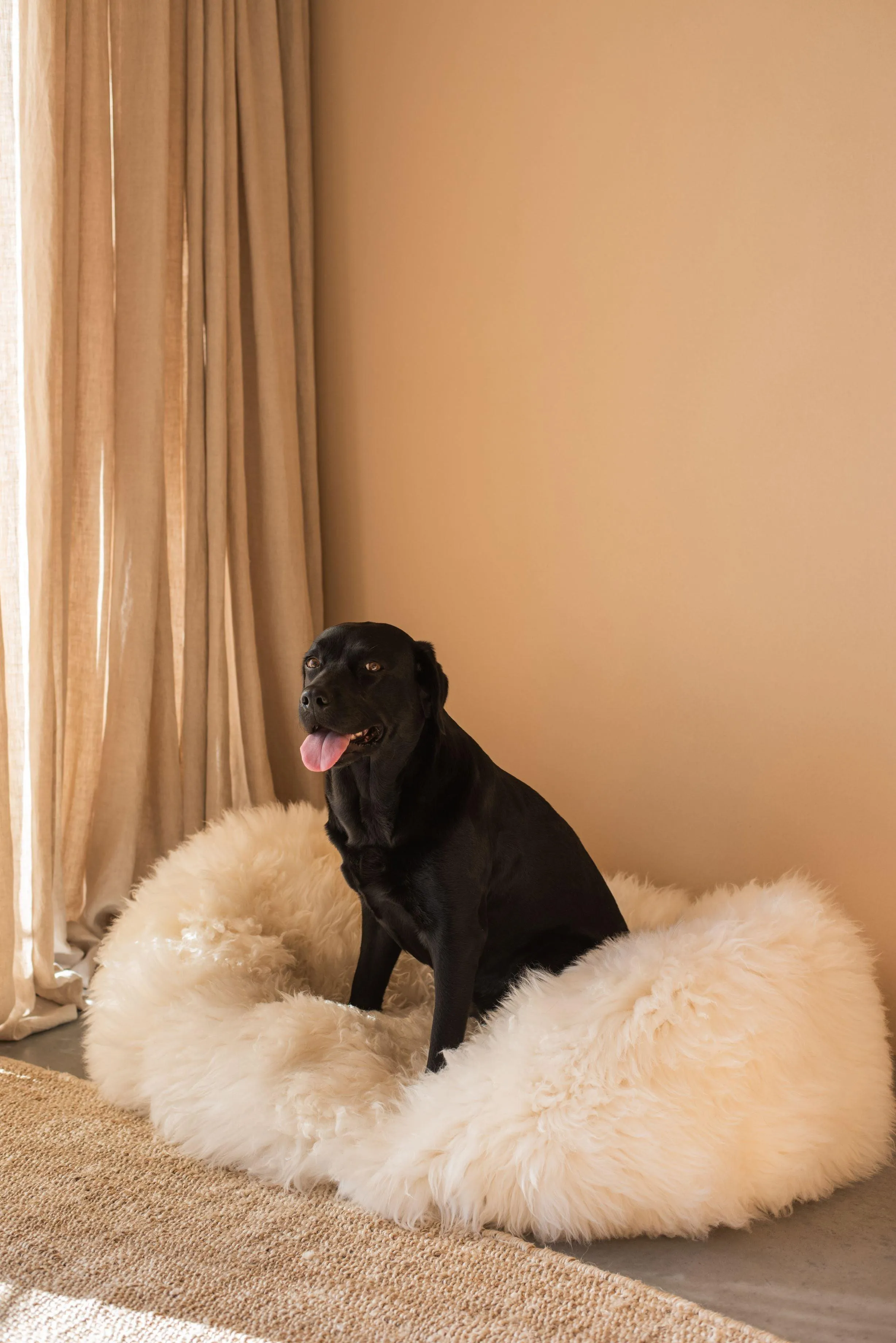 Oval Natural Sheepskin Pet Bed - White