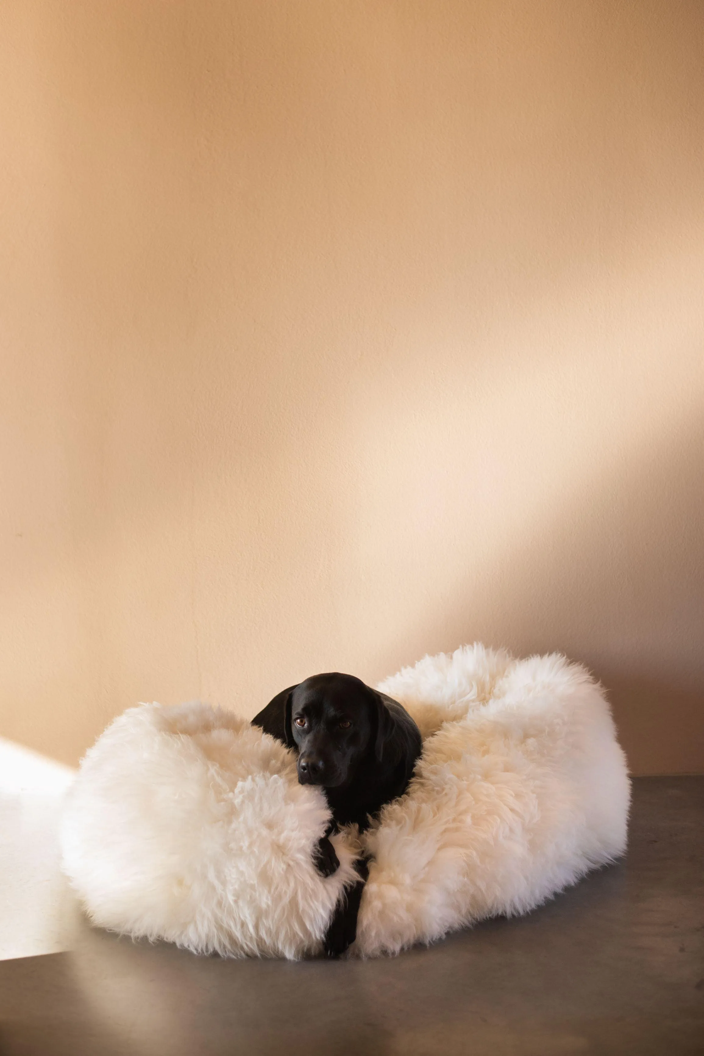 Oval Natural Sheepskin Pet Bed - White