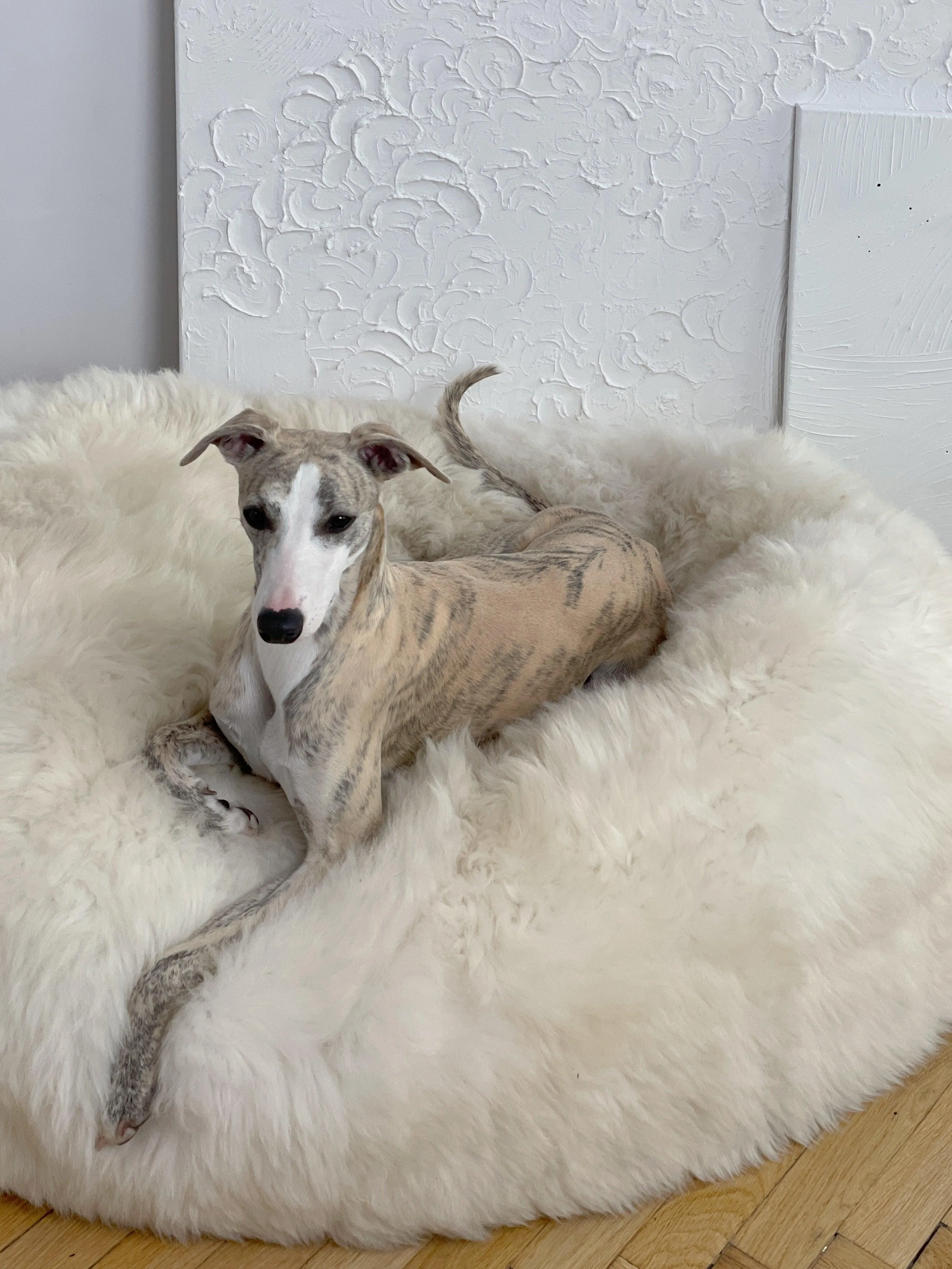 Oval Natural Sheepskin Pet Bed - White