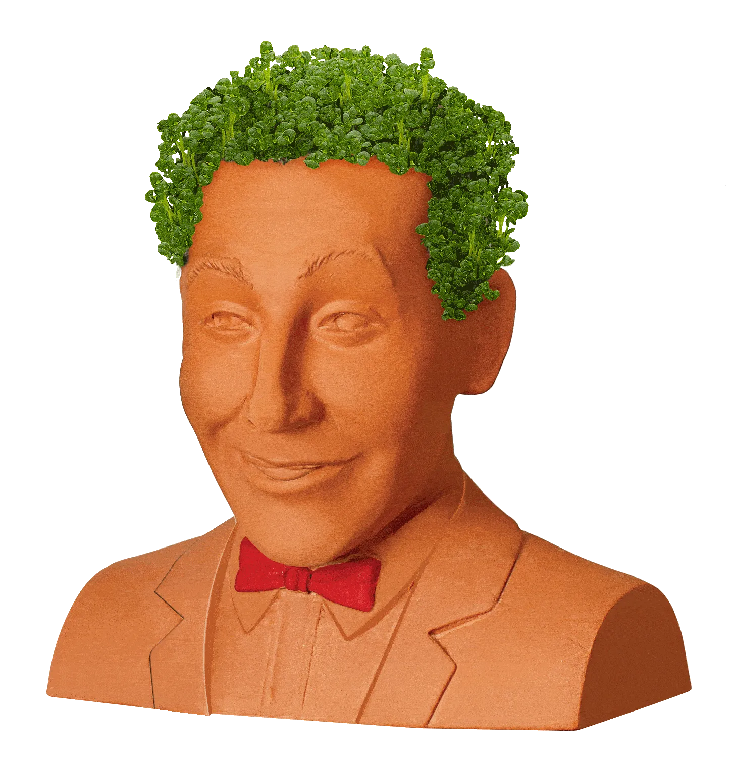 PEE-WEE HERMAN CHIA PET