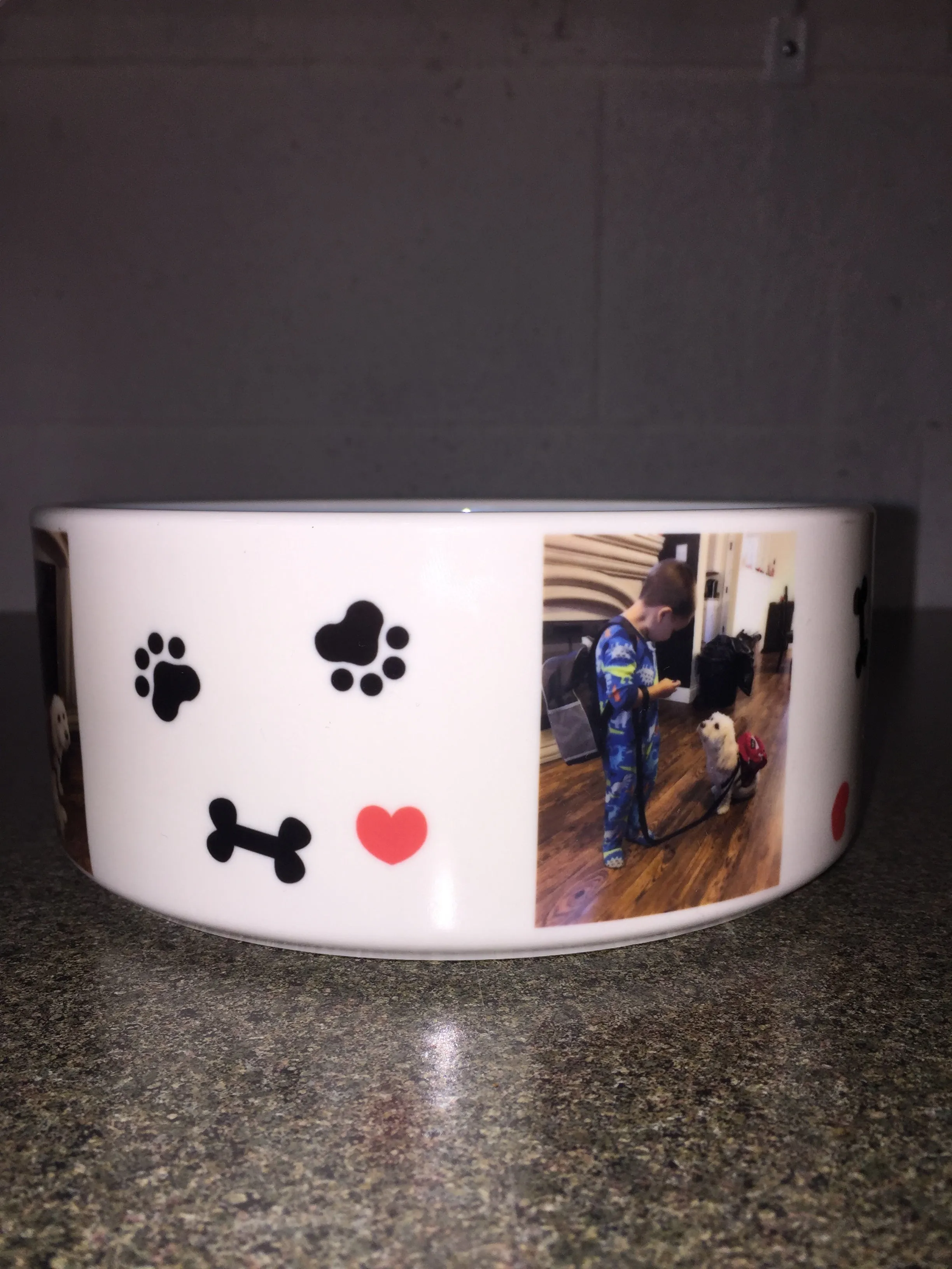 Personalized Pet Bowl - Design Your Own