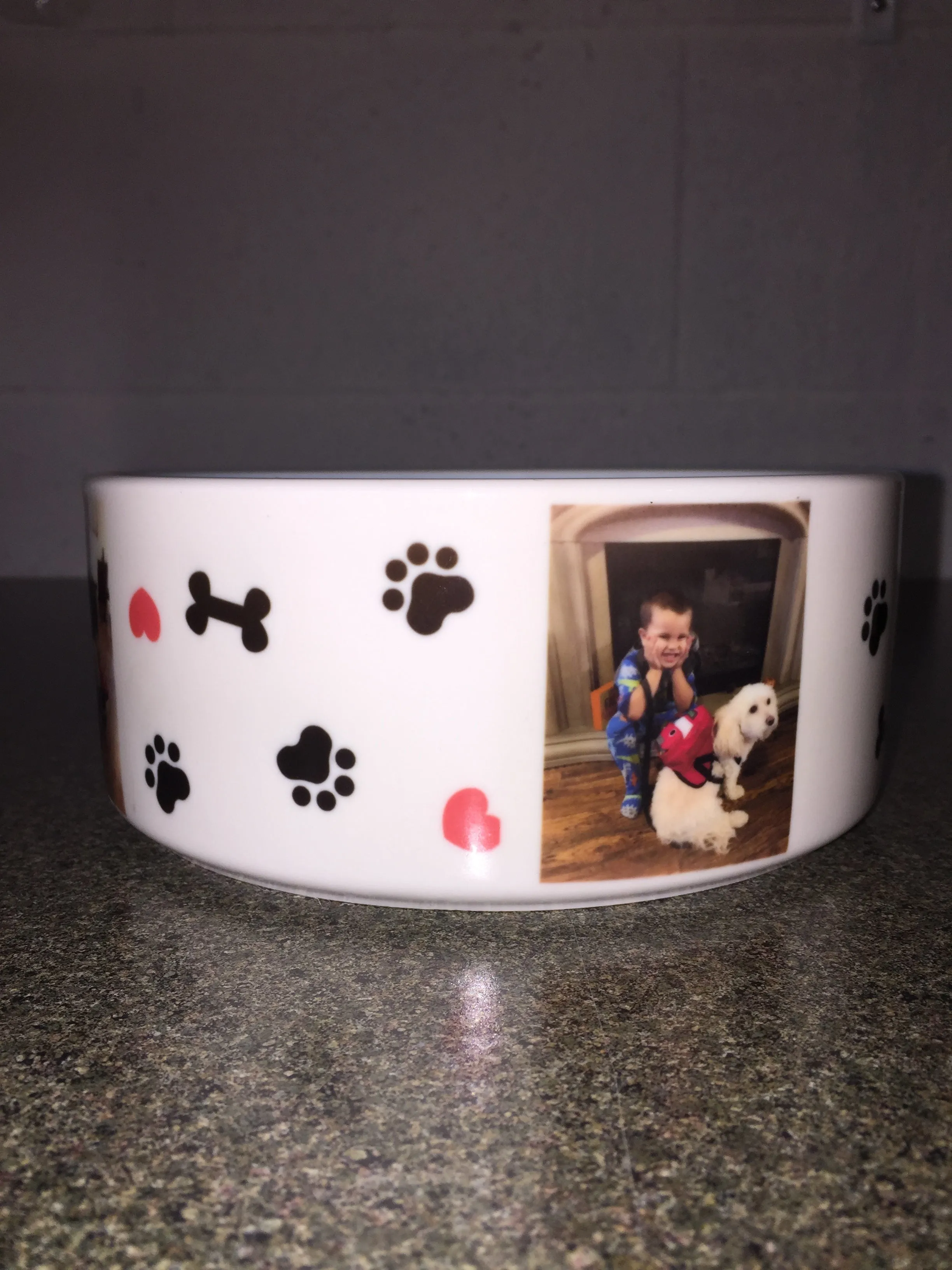 Personalized Pet Bowl - Design Your Own