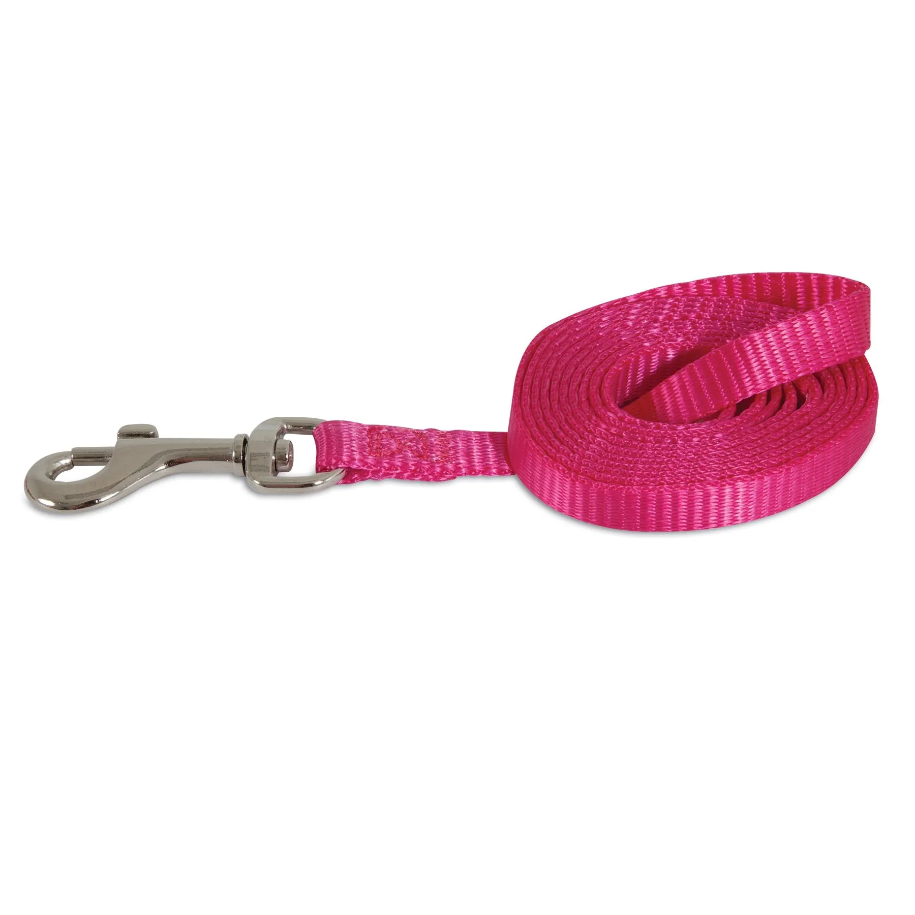 Petmate Standard Core Nylon Dog Leash