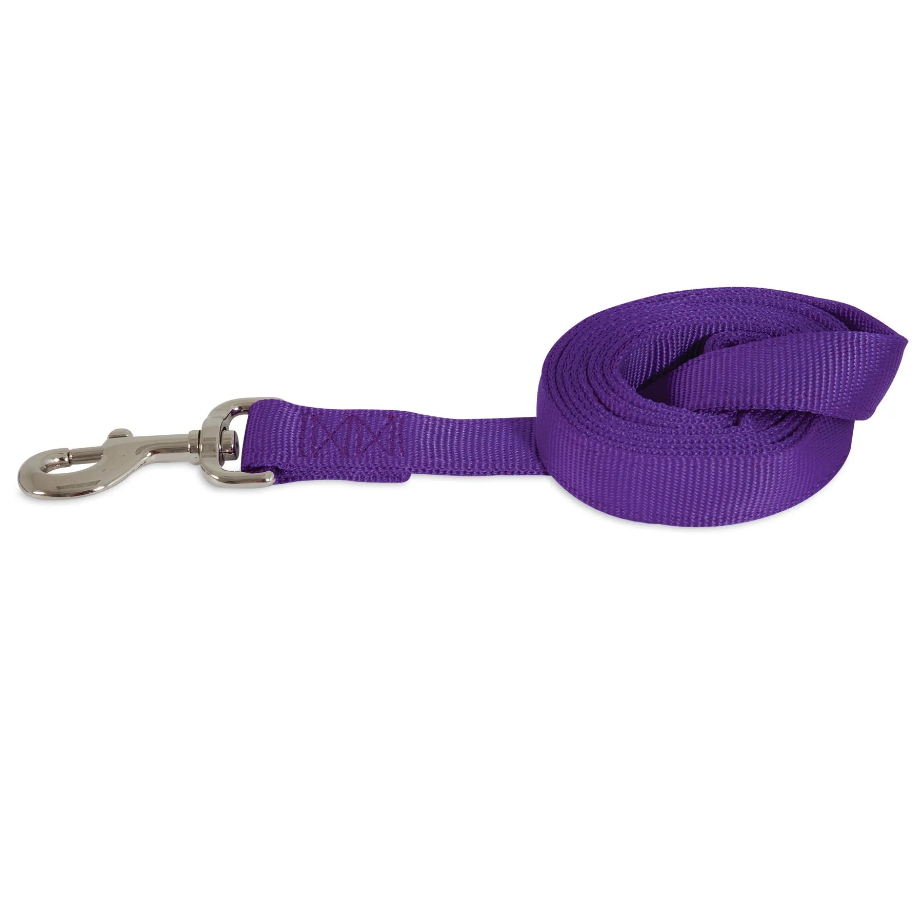 Petmate Standard Core Nylon Dog Leash