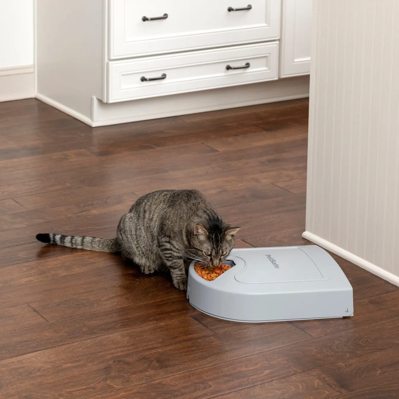 PetSafe® 5-Meal Pet Feeder