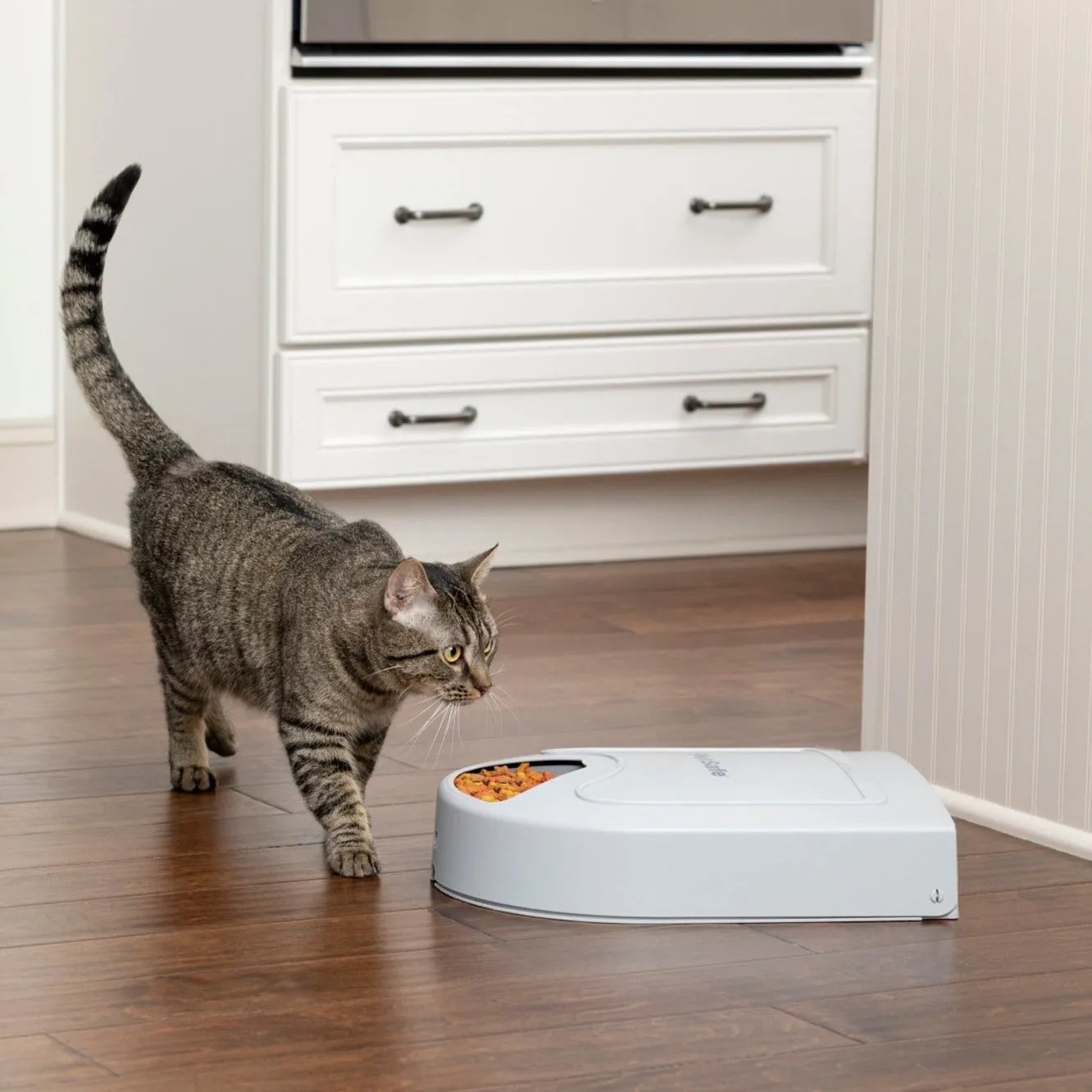 PetSafe® 5-Meal Pet Feeder