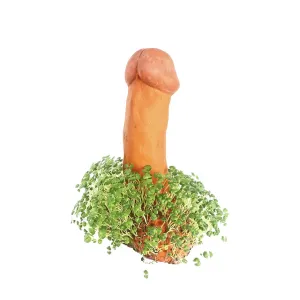 Pube Pet Sprouting Penis Planter