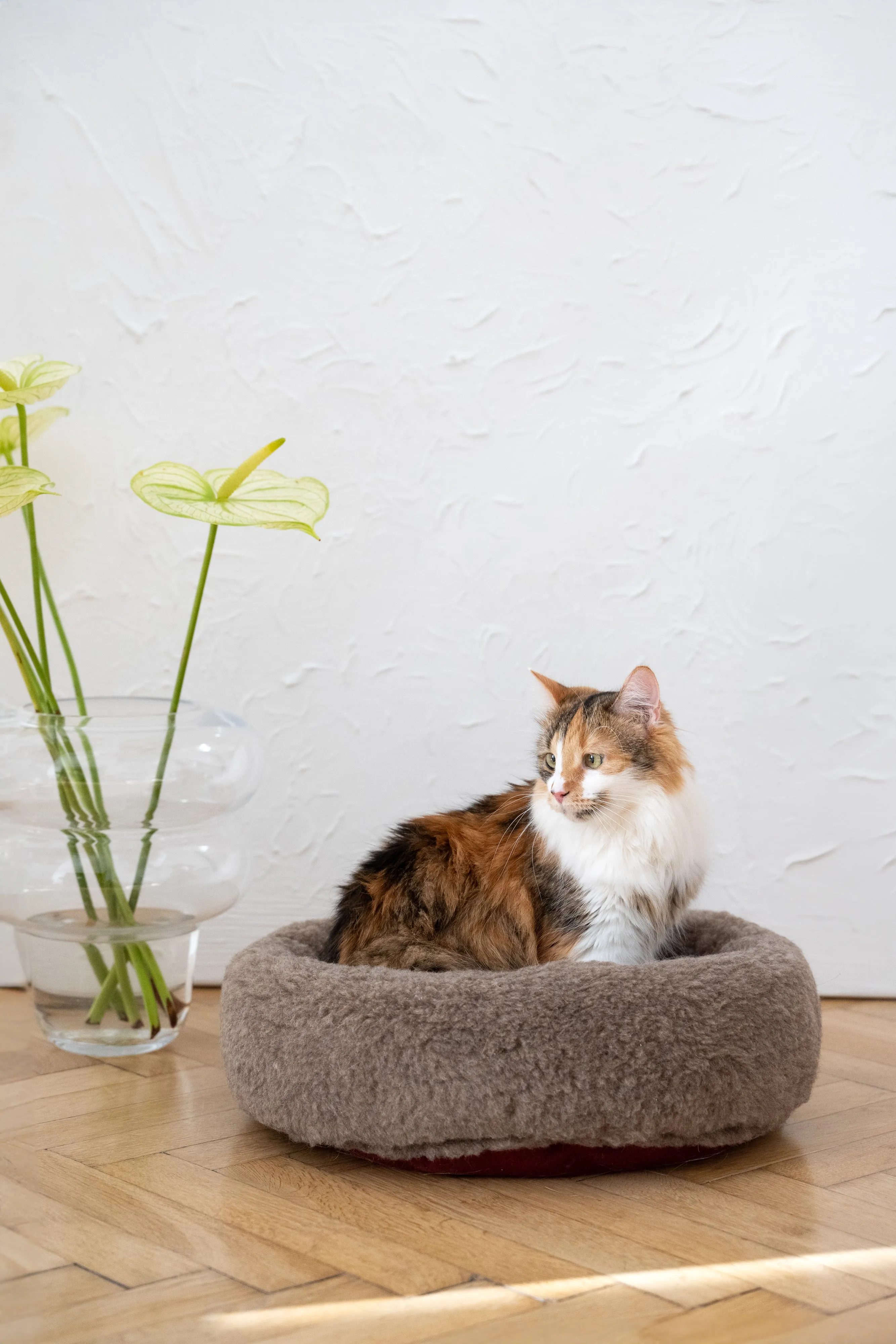 Round Natural Wool Pet Bed - Beige