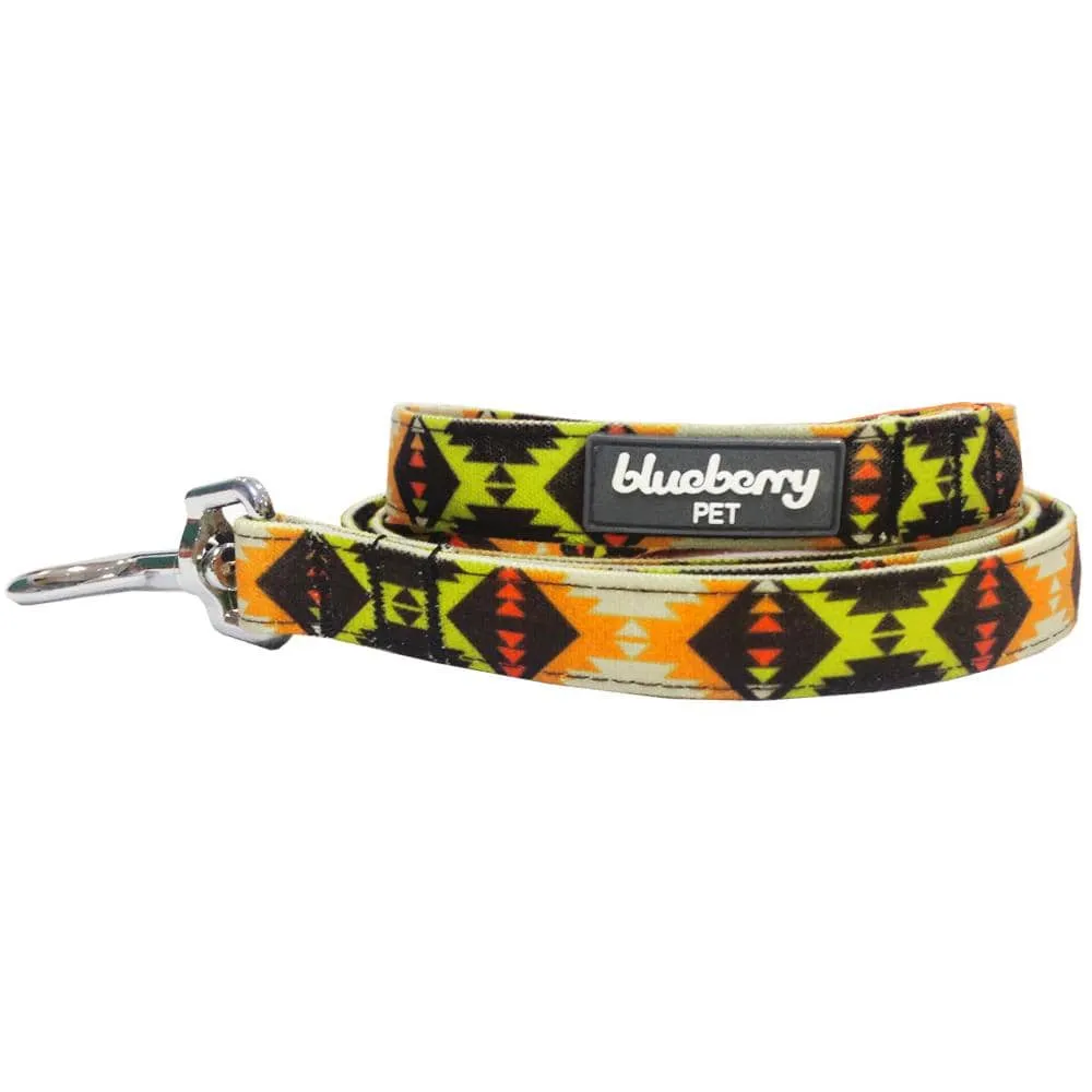 Southwestern Pattern Padded Dog Leash