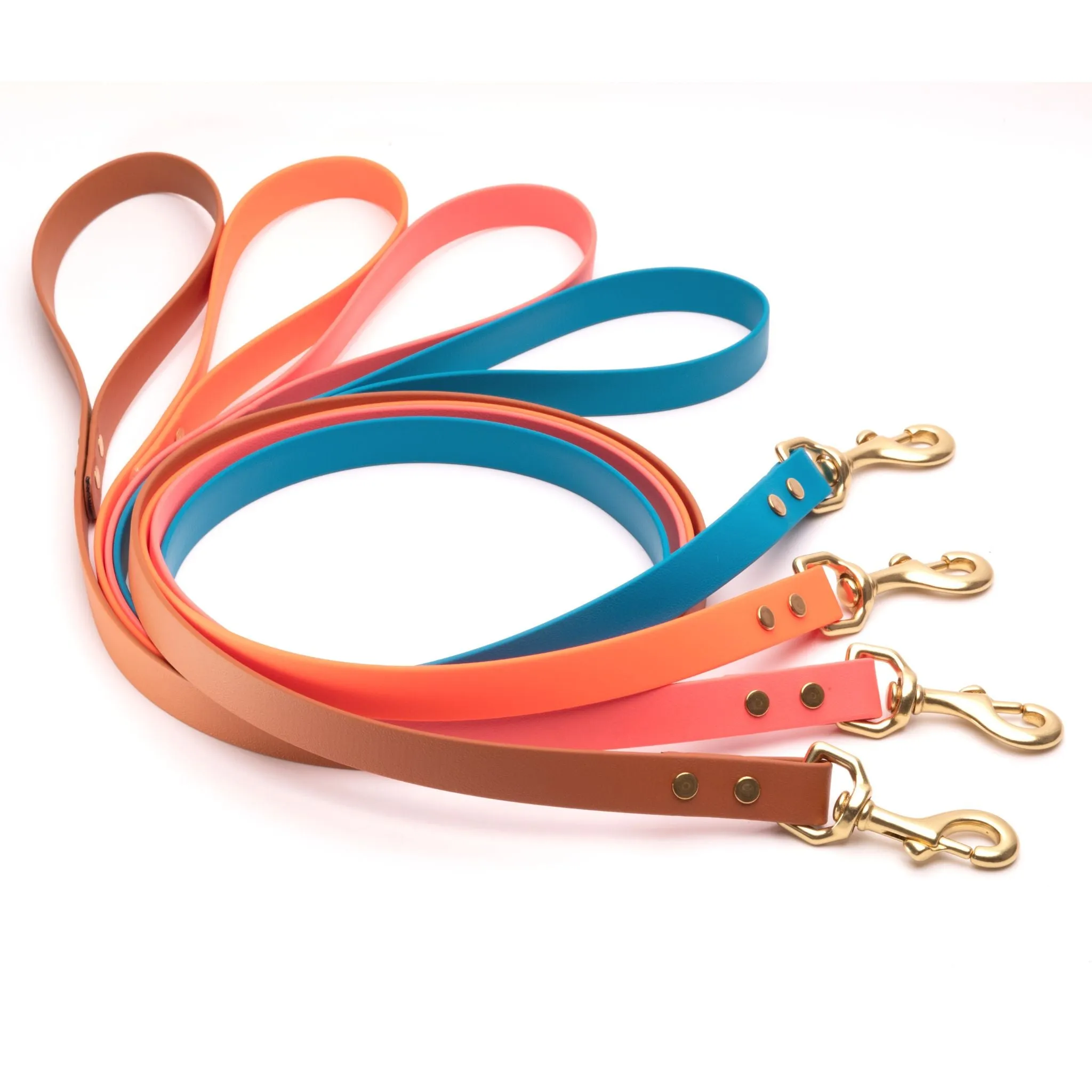 Standard Brass Leashes   Long Lines - Large Dogs (3/4" Width)