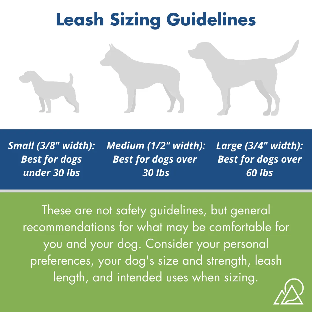 Standard Brass Leashes   Long Lines - Large Dogs (3/4" Width)