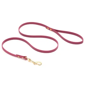 Standard Brass Leashes   Long Lines - Medium Dogs (1/2" Width)