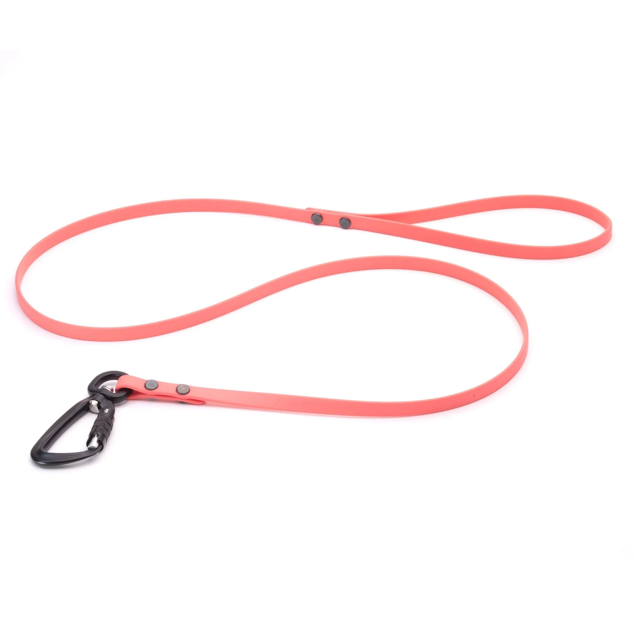 Standard Sport Leashes   Long Lines - Small Dogs (3/8")