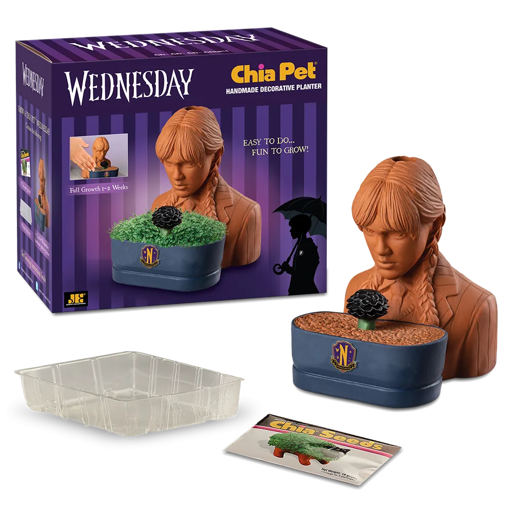 WEDNESDAY CHIA PET