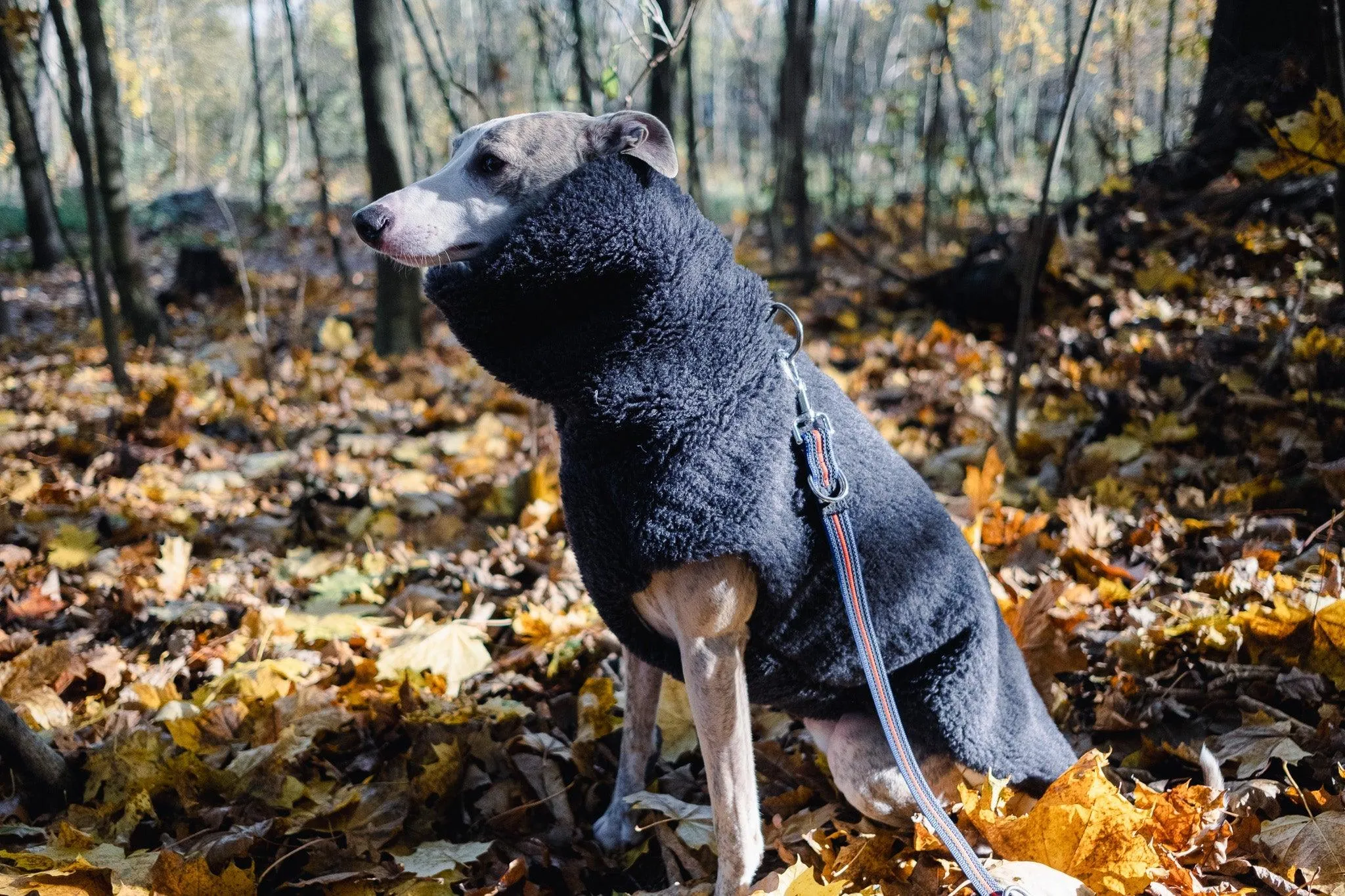 Woolen Dog Vest - Charcoal